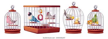 Happy client pet 1